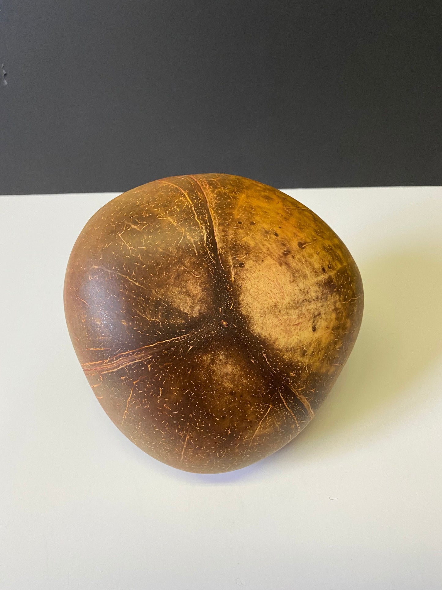 A  7 inch Chinese coconut and bronze bowl  Antique  simple and delightful