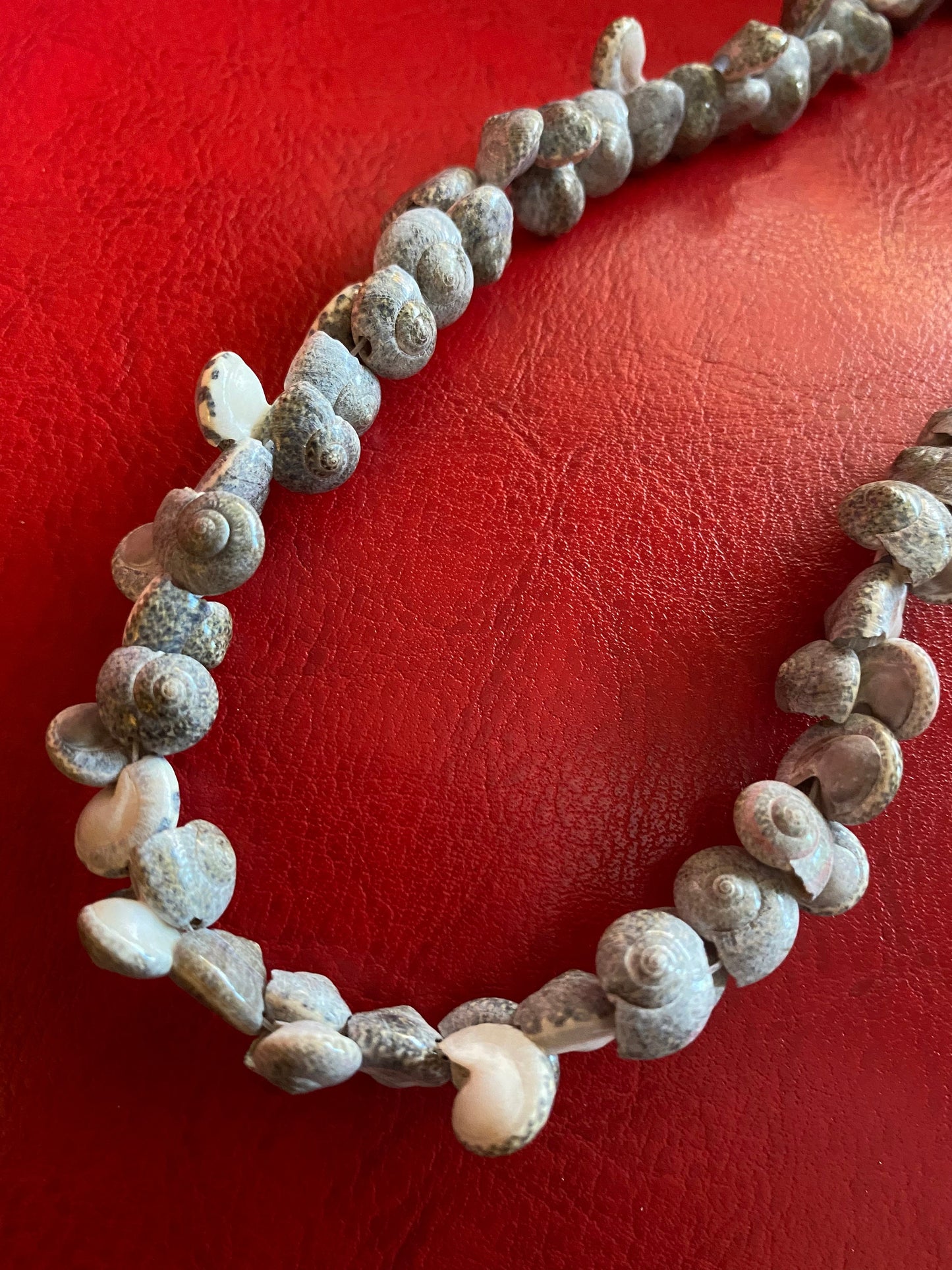 Beautiful vintage Hawaiian long tiny Shell necklace