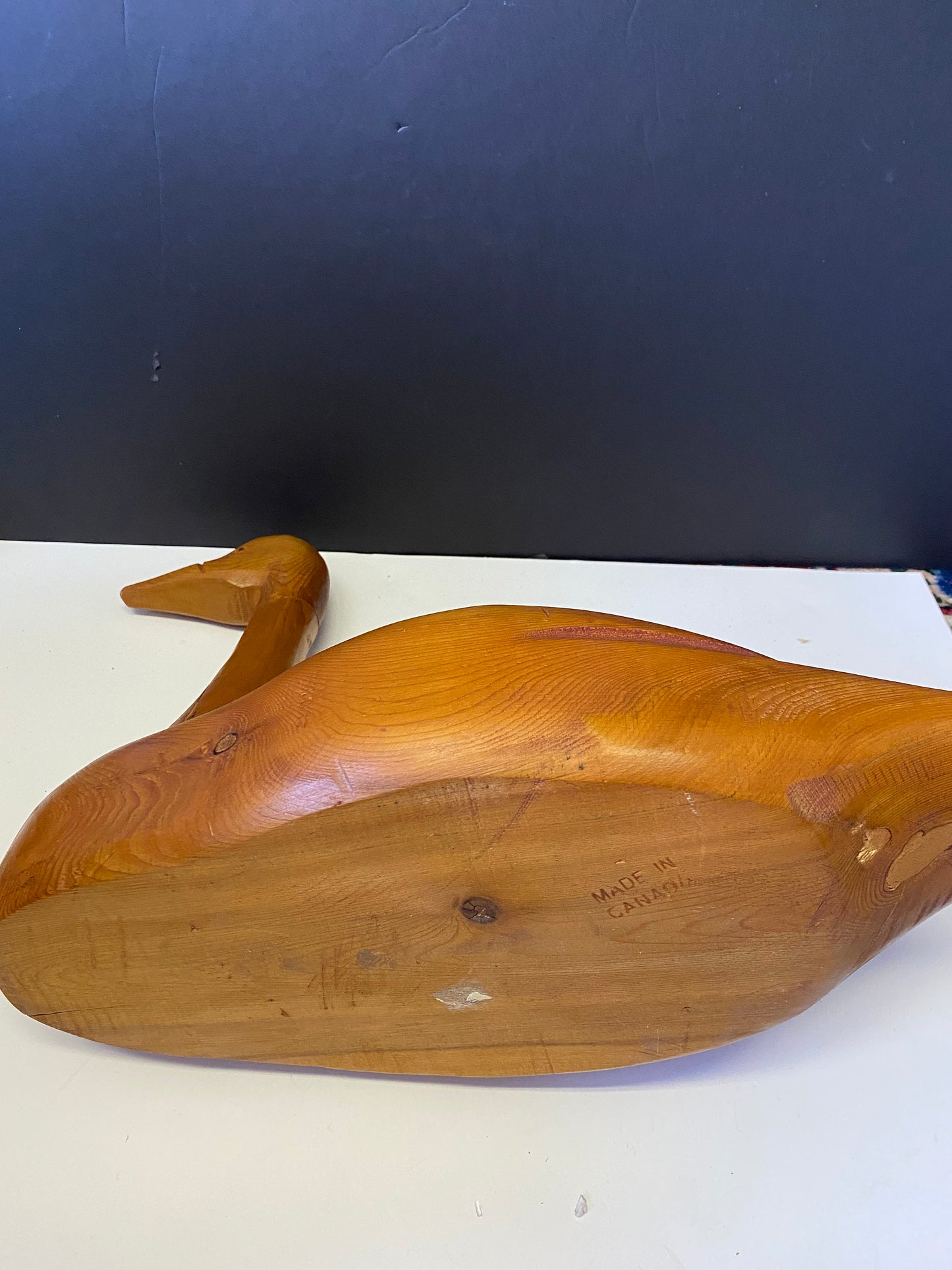 A  Stunning 17 x 13 Canadian carved cedar duck  Well engraved a fabulous presence and quality  amazing gift