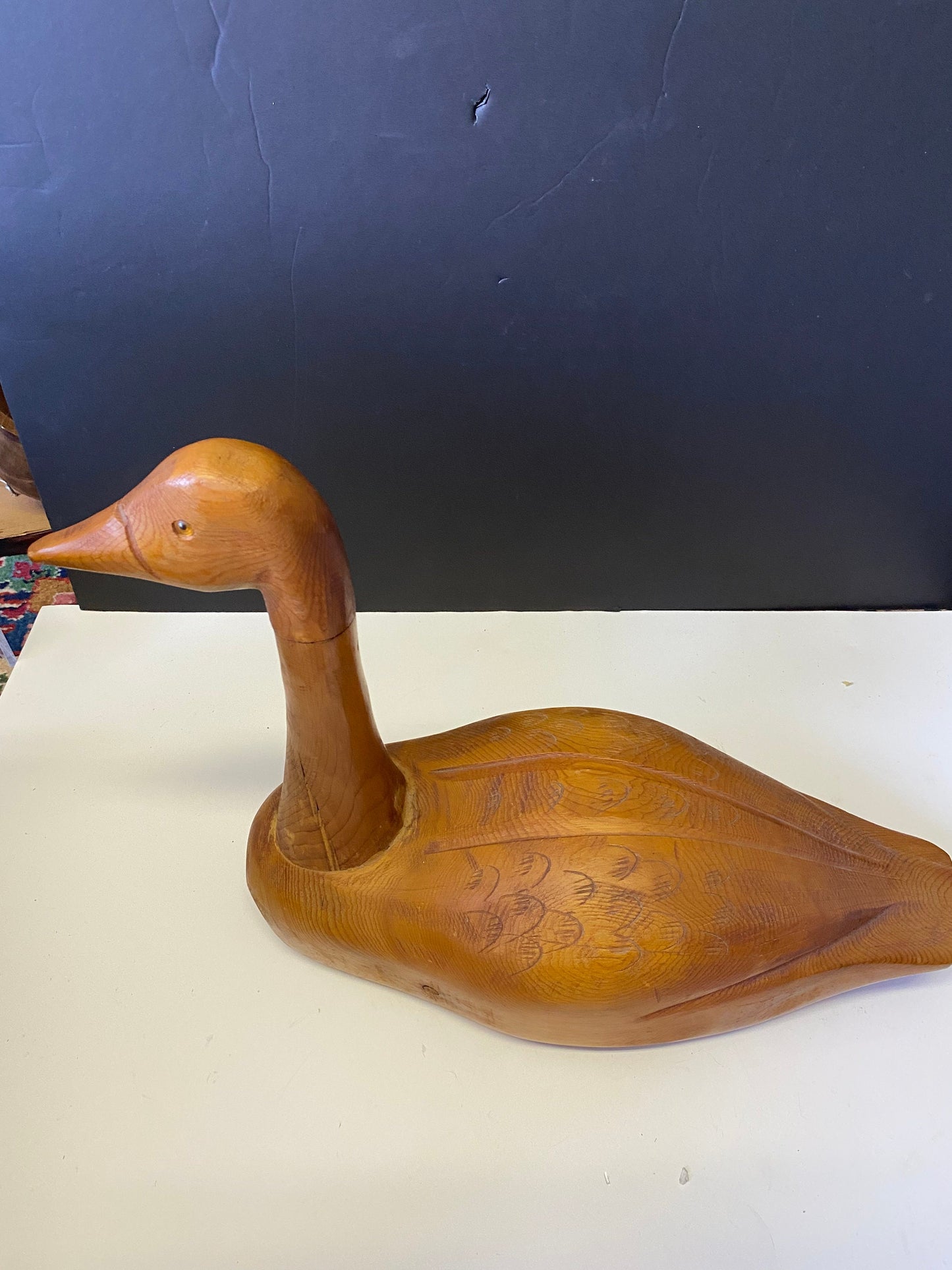 A  Stunning 17 x 13 Canadian carved cedar duck  Well engraved a fabulous presence and quality  amazing gift