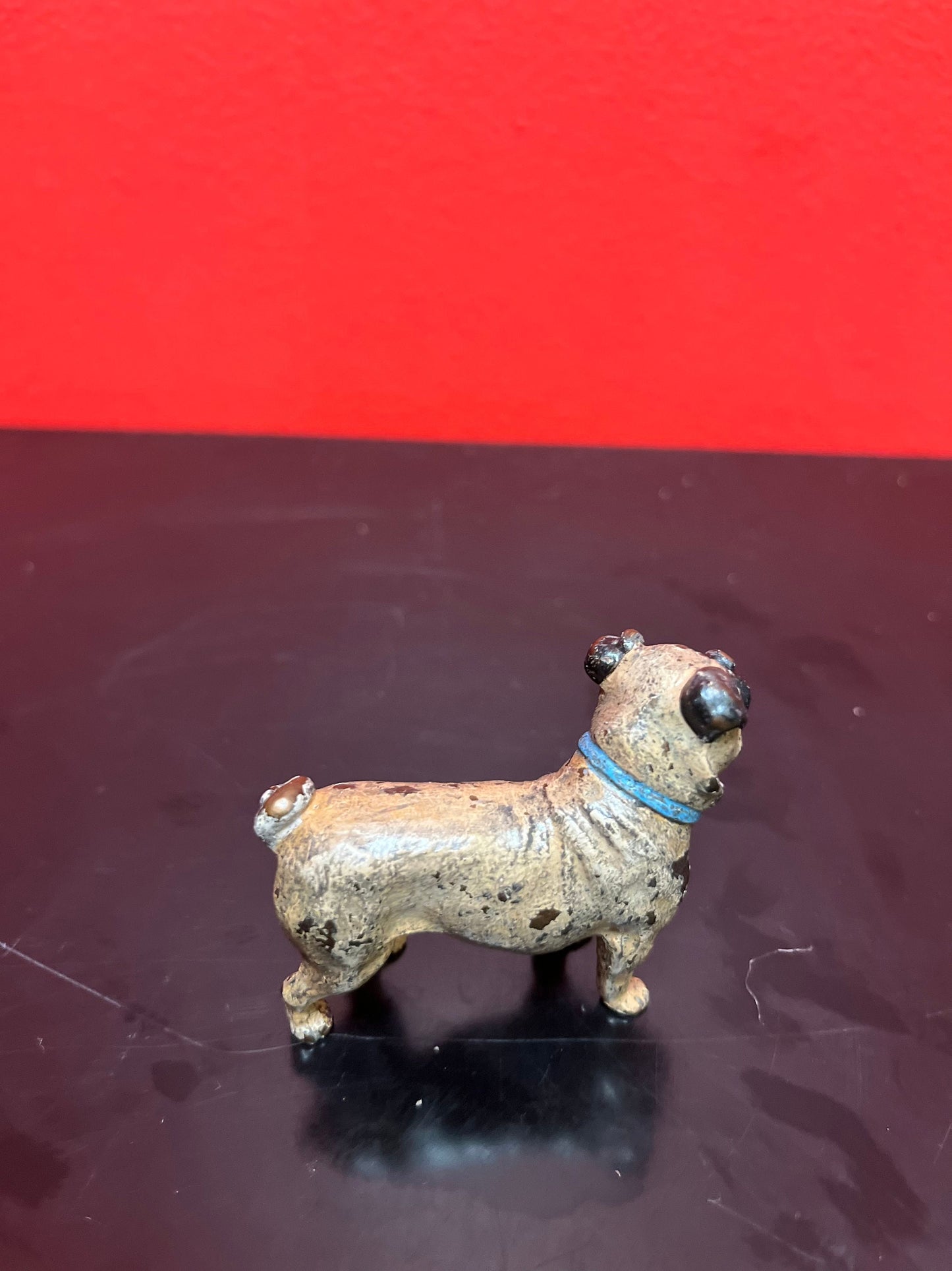 Authentic fabulous 2 inch long, Franz Bergman antique Austrian bronze of a pug dog  great patina  absolutely fabulous