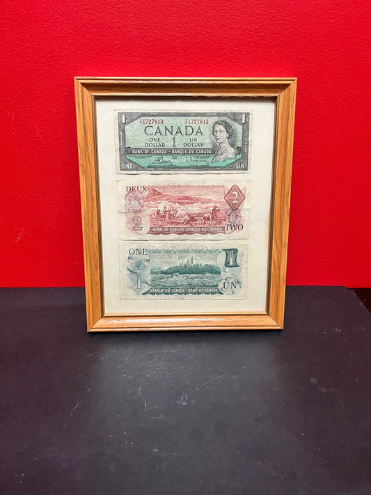 11 x 9 Canadian currency in frame