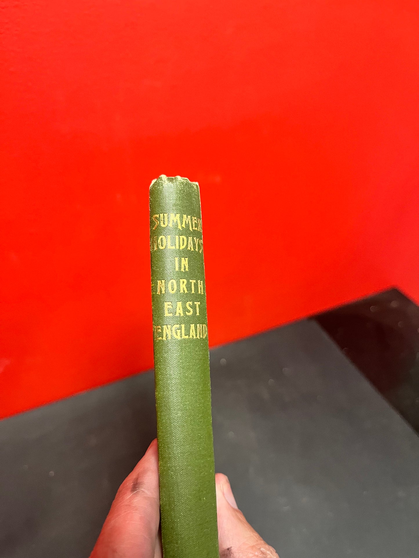 Lovely summer holidays in northeast England, first edition book   good used condition published January 1, 1890 - hard to find