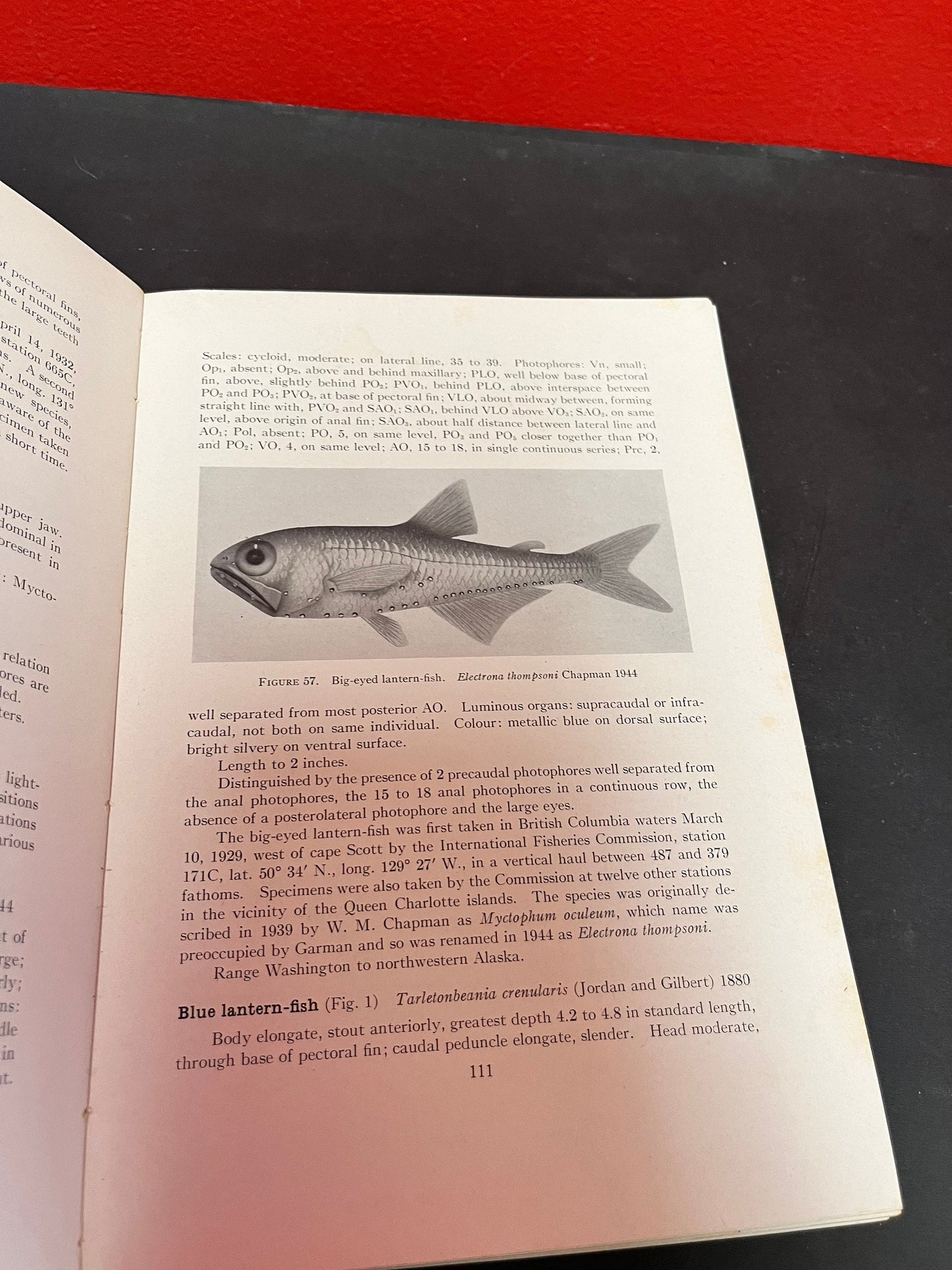 Very cool 1916 University of British Columbia fishes of the Pacific coast of Canada book  - 368 pages  as is condition - great gift