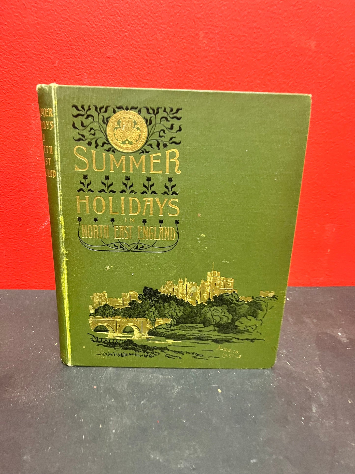 Lovely summer holidays in northeast England, first edition book   good used condition published January 1, 1890 - hard to find