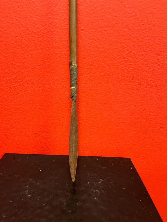 Lovely antique 22 inch indigenous spear